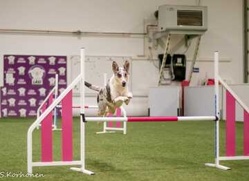 Agility